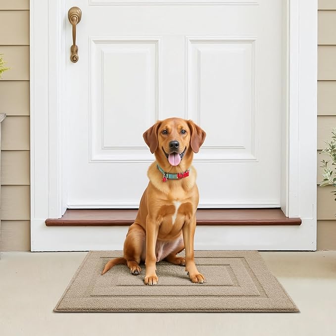 GRANNY SAYS Front Door Mat Outside Entrance, Welcome Matt Indoor Non-Slip, Door Mats for Outdoor, Entryway Front Porch Matt Low Profile Resist Dirt Easy to Clean, 32" x 20", Khaki