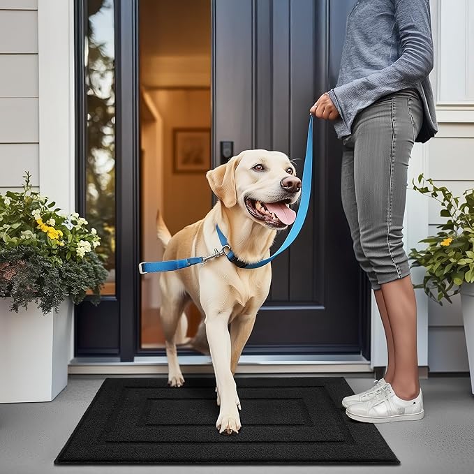 GRANNY SAYS Front Door Mat Indoor Entrance, Indoor Door Rugs for Entryway, Low-Profile, Non-Slip Rugs, Washable Floor Mat, 32x20, Black