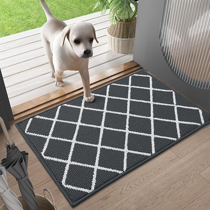 Finchitty Indoor Door Mat, Dirt Resistant and Absorbent, Low-Profile, Non-Slip, Washable Inside Floor Mats for Front Door, Back, and Entrance, 40" x 32", Charcoal