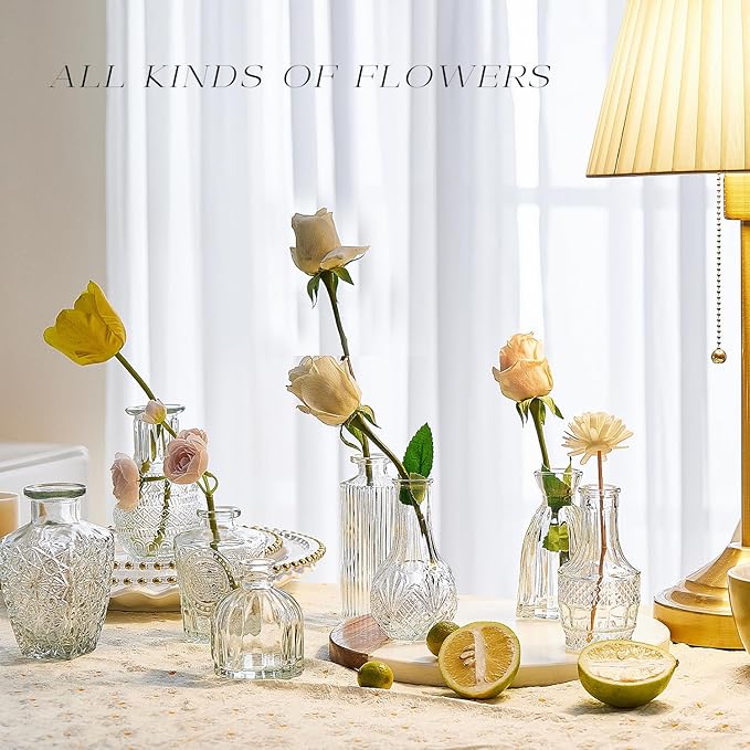 Glass Bud Vase Set of 20, Small Flower Vases, Glass Vases for Centerpieces, Vintage Home Table Decorations Bud Vases (20 Pcs, Clear)