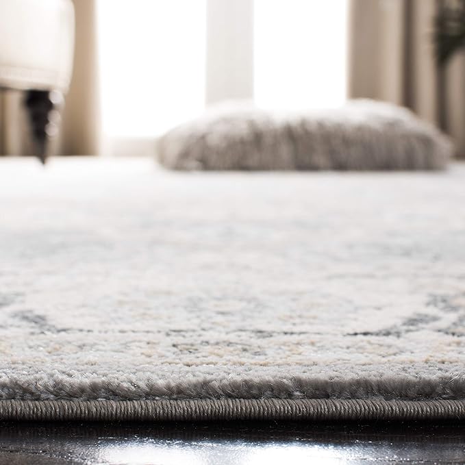 SAFAVIEH Isabella Collection Accent Rug - 4' x 6', Grey & Dark Grey, Oriental Design, Non-Shedding & Easy Care, Ideal for High Traffic Areas in Entryway, Living Room, Bedroom (ISA912H)