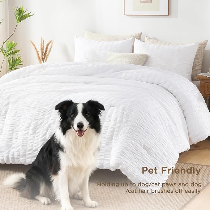 AveLom Seersucker Twin/Twin XL Comforter Set (68 x 90 inches), 2 Pieces - 100% Soft Microfiber Lightweight Comforter with 1 Pillowcase, All Season Down Alternative Comforter Set for Bedding, White