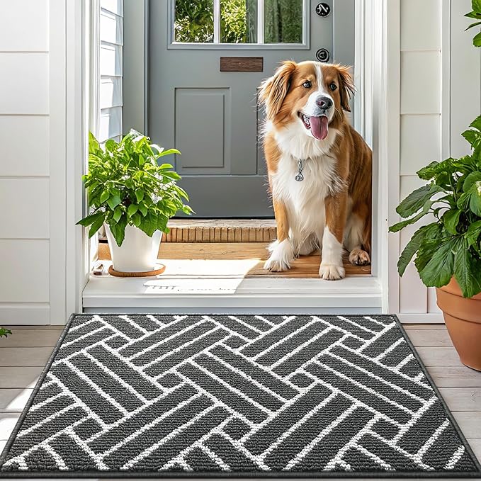 OLANLY Indoor Door Mat, 36x24 Inch, Dirt Resistant and Absorbent, Non-Slip Rubber Backing Floor Mats, Easy Clean Low-Profile Doormat for Entryway, Front Door, and Inside Entrance, Charcoal