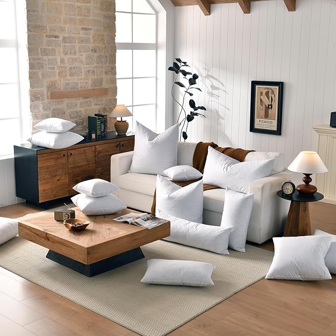 basic home 24x24 Euro Throw Pillow Inserts-Down Feather Pillow Inserts-Cotton Fabric-Set of 2-White.