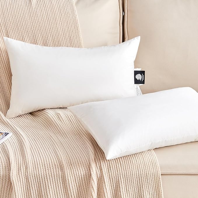 KUSNUG Organic Feather Down Lumbar Pillow Inserts (14x22 Inch, Set of 2) - 100% Cotton Shell, Filling of Feathers & Memory Foam, Rectangular Decorative Pillow Form Core for Couch, Sofa, and Bed