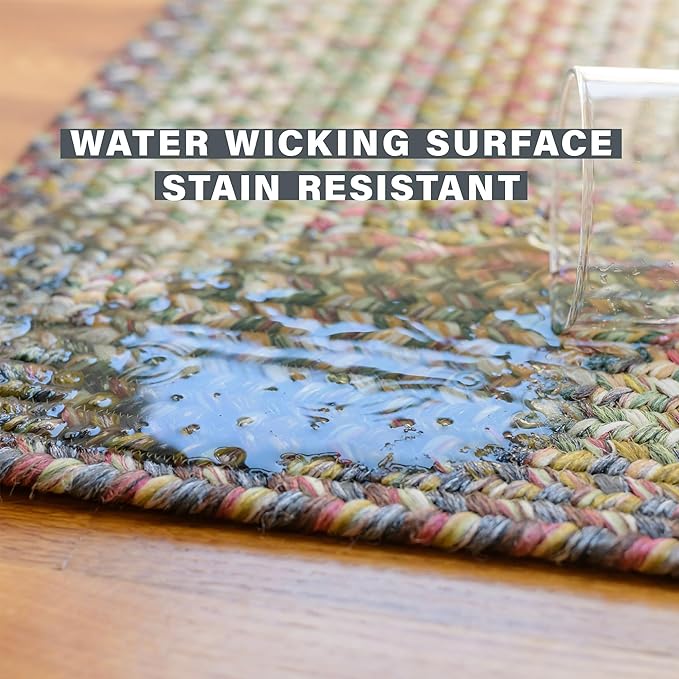 Rainforest Multicolor Small Braided Rug 20"x30" - Entryway and Kitchen Rugs Washable & Waterproof for Indoor and Outdoor Kitchen, Soft and Reversible