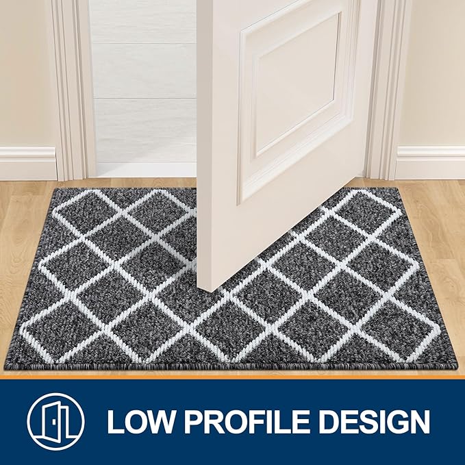 Finchitty Large Indoor Door Mat, Non-Slip Absorbent Resist Dirt Entrance Mat, Easy to Clean Mats for Entryway, Low-Profile Inside Floor Doormat, 59" x 35", Black