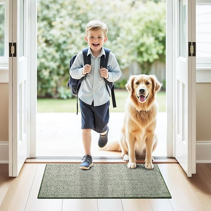 GRANNY SAYS Front Door Mat Outside Entrance, Door Mats for Entryway, Welcome Matt Non-Slip, Entryway Front Porch Mat Low Profile Resist Dirt Easy to Clean, 36"x24", Green Beige