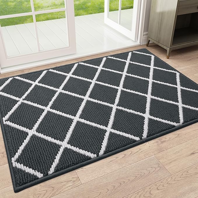 Finchitty Indoor Door Mat, Dirt Resistant and Absorbent, Low-Profile, Non-Slip, Washable Inside Floor Mats for Front Door, Back, and Entrance, 32" x 20", Charcoal