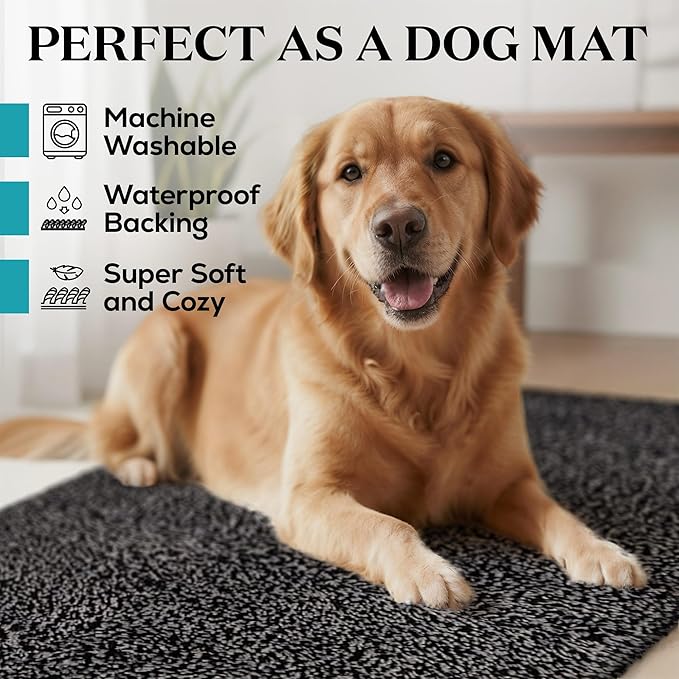 RugMast Premium Microfiber Indoor Door Mat – 36"x60" Washable Entry Mat, Non-Slip, Waterproof Backing, Super Absorbent, Low Profile Entryway Doormat for Indoor Entrance