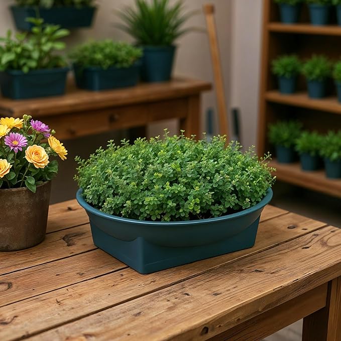 24 Pcs Floral Supplies Green Design Bowls, Floral Foam Bowl for Flower Arrangements Florals Arrangements Supplies Containers Florist Decorative Bowl for Fresh Flower Holiday Wedding Party Decor
