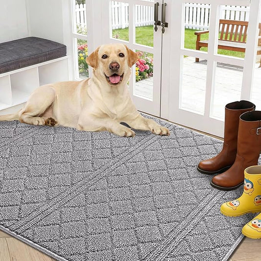 REFETONE Indoor Doormat, Front Back Door Mat 32"x48" Absorbent Rubber Backing Non Slip Door Mats, Low-Profile Resist Dirt Rugs, Machine Washable Door Rug Inside Floor Mat for Entryway, Light Grey