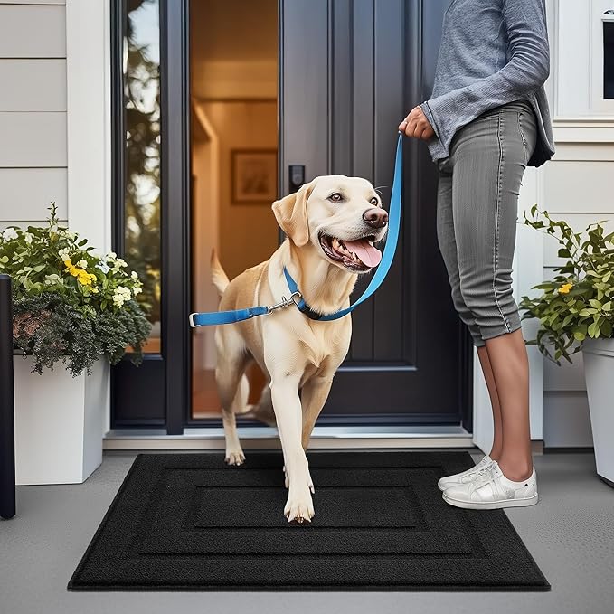 GRANNY SAYS Front Door Mat Indoor Entrance, Indoor Door Rugs for Entryway, Low-Profile, Non-Slip Outdoor Rugs, Washable Floor Mat, 36x24, Black
