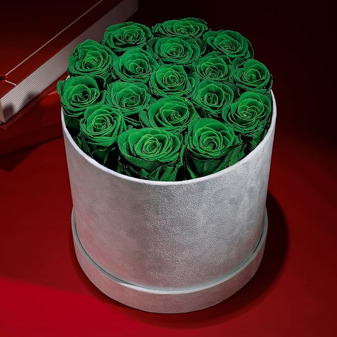17 Flowers in a Luxury Suede Box, Birthday Gifts for Women, Preserved Flowers, Mothers Day Roses Gift for Mom, Dark Geen