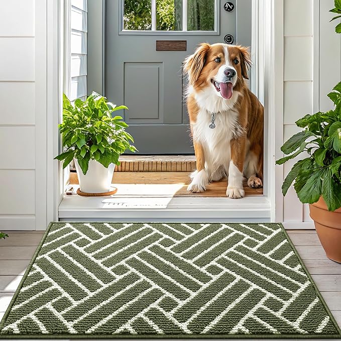 OLANLY Large Indoor Door Mat, 59x35 Inch, Dirt Resistant and Absorbent, Non-Slip Rubber Backing Floor Mats, Easy Clean Low-Profile Doormat for Entryway, Front Door, and Inside Entrance, Green