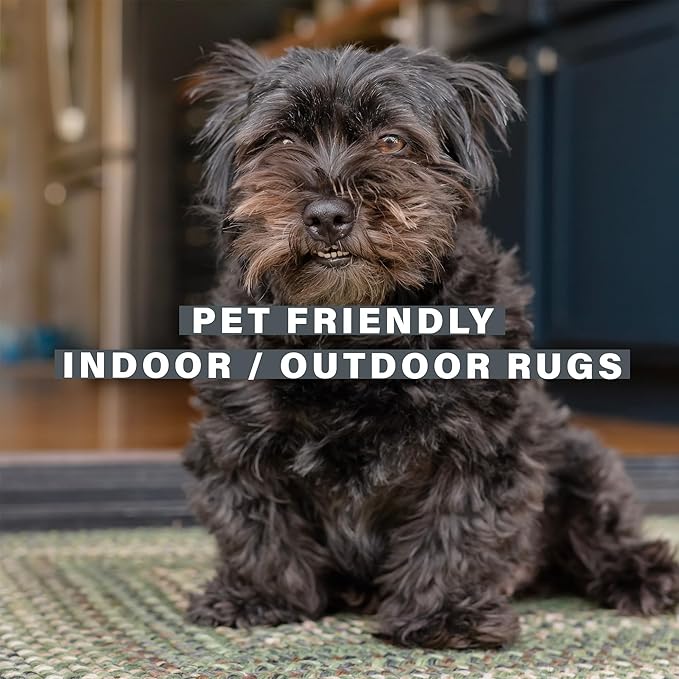 Cedar Ridge Green Small Braided Rug 20"x30" - Rectangle, Indoor Outdoor Washable - Country Decor for Bathrooms and Entryways - Beautiful, Durable, Waterproof, Pet Friendly and Soft