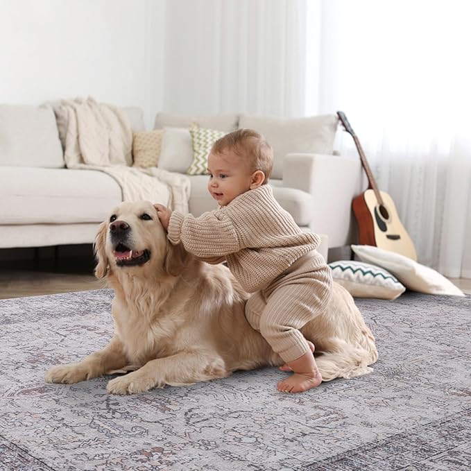 Vanmoos 4x6 Area Rug - Machine Washable, Non-Slip Soft Carpet for Living Room, Bedroom, Office, Dining Room - Durable Accent Rug for Farmhouse & High-Traffic Areas, Rustic Vibes/Taupe