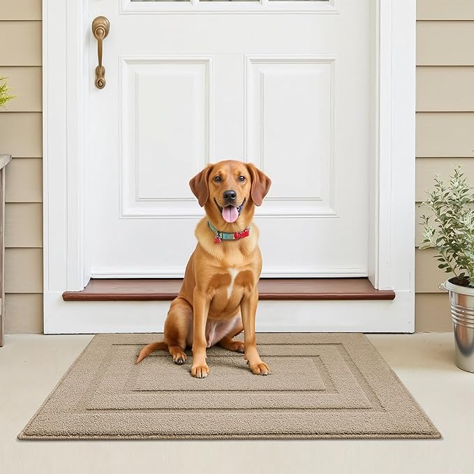 GRANNY SAYS Front Door Mat Outside Entrance, Welcome Matt Non-Slip, Outdoor Door Mats for Entryway, Long Front Porch Mat Low Profile Resist Dirt Easy to Clean, 48"x32", Khaki