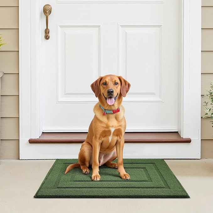 GRANNY SAYS Front Door Mat Outside Entrance, Welcome Matt Indoor Non-Slip, Door Mats for Outdoor, Entryway Front Porch Matt Low Profile Resist Dirt Easy to Clean, 32" x 20", Green