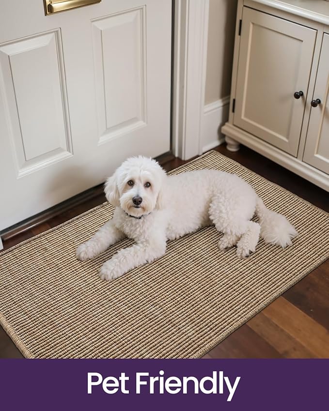 DEXI Dirt Trapper Door Mat, 20x31 Washable Doormat, Dirt Resistant and Absorbent, Easy Clean Low-Profile Floor Rugs for Entryway, Front Door, and Inside Entrance, Beige