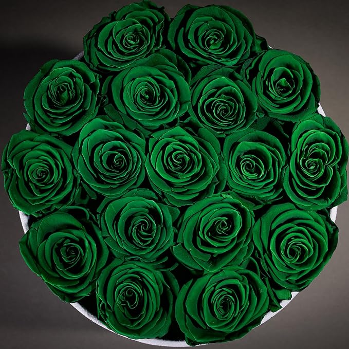 17 Flowers in a Luxury Suede Box, Birthday Gifts for Women, Preserved Flowers, Mothers Day Roses Gift for Mom, Dark Geen