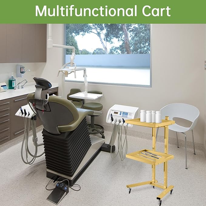 2-Tray Metal Rolling Cart, Stainless Steel Salon Tray Trolley, Foldable Utility Carts Quiet Lockable Wheels, Salon Trolley for Beauty Spa Esthetician dentals Tools, Cavitation Machine, Gold