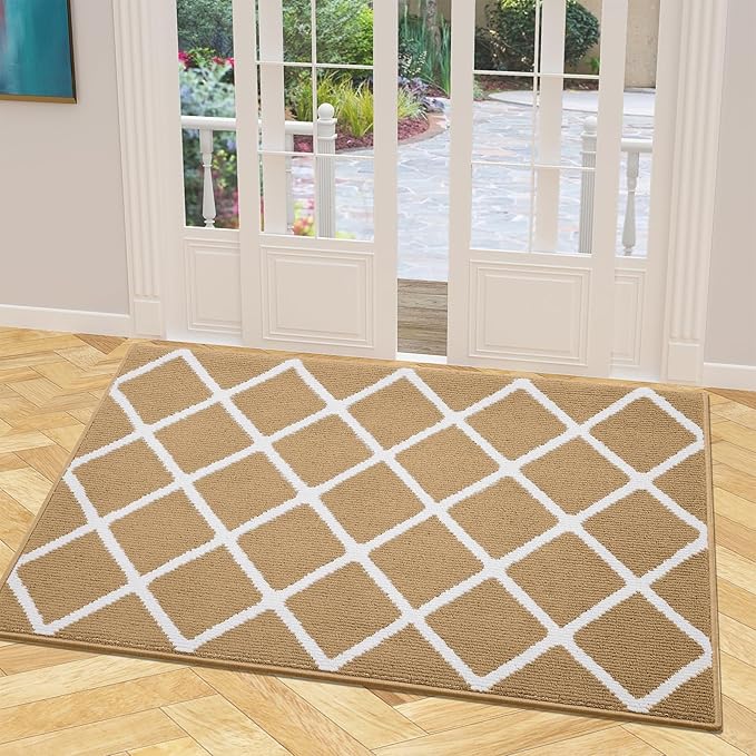 Finchitty Indoor Door Mat, Dirt Resistant and Absorbent, Low-Profile, Non-Slip, Washable Inside Floor Mats for Front Door, Back, and Entrance, 48" x 32", Beige