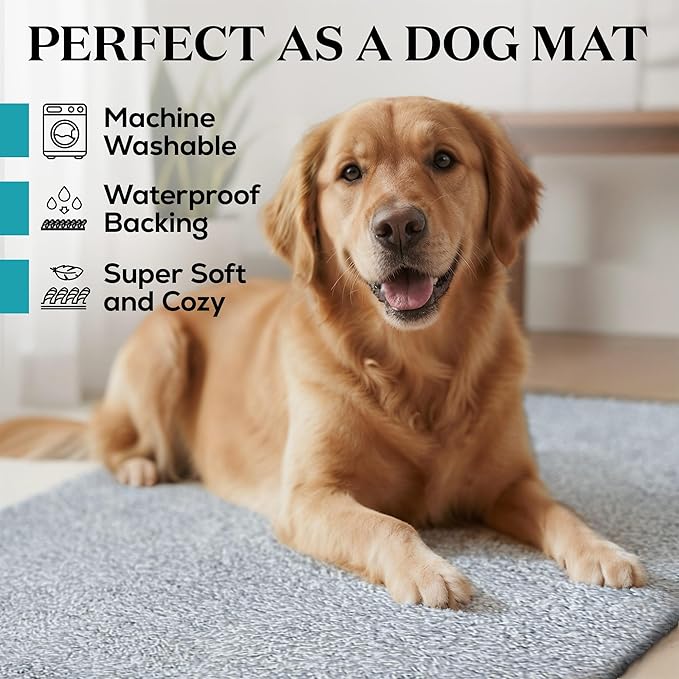 RugMast Premium Microfiber Indoor Door Mat – 36"x60" Washable Entry Mat, Non-Slip, Waterproof Backing, Super Absorbent, Low Profile Entryway Doormat for Indoor Entrance