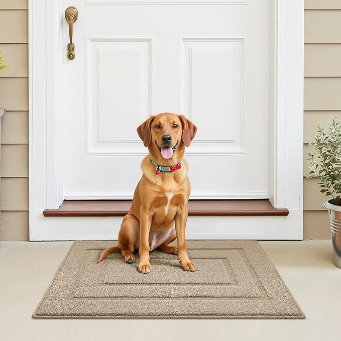 GRANNY SAYS Front Door Mat Outside Entrance, Welcome Matt Indoor Non-Slip, Door Mats for Outdoor, Entryway Front Porch Matt Low Profile Resist Dirt Easy to Clean, 36" x 24", Khaki
