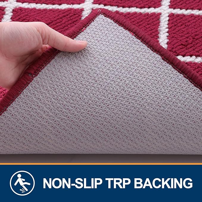 Finchitty Indoor Door Mat, Dirt Resistant and Absorbent, Low-Profile, Non-Slip, Washable Inside Floor Mats for Front Door, Back, and Entrance, 30" x 17", Burgundy