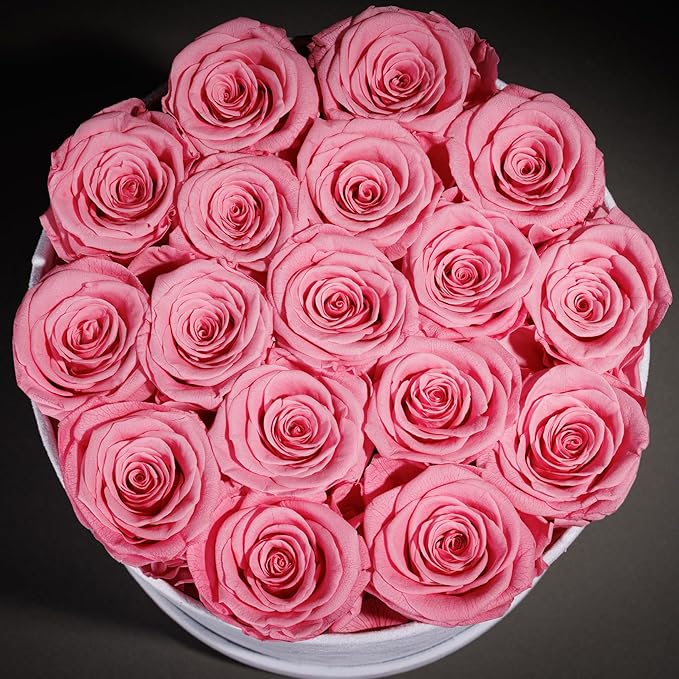 17 Flowers in a Luxury Suede Box, Birthday Gifts for Women, Preserved Flowers, Mothers Day Roses Gift for Mom, Light Pink