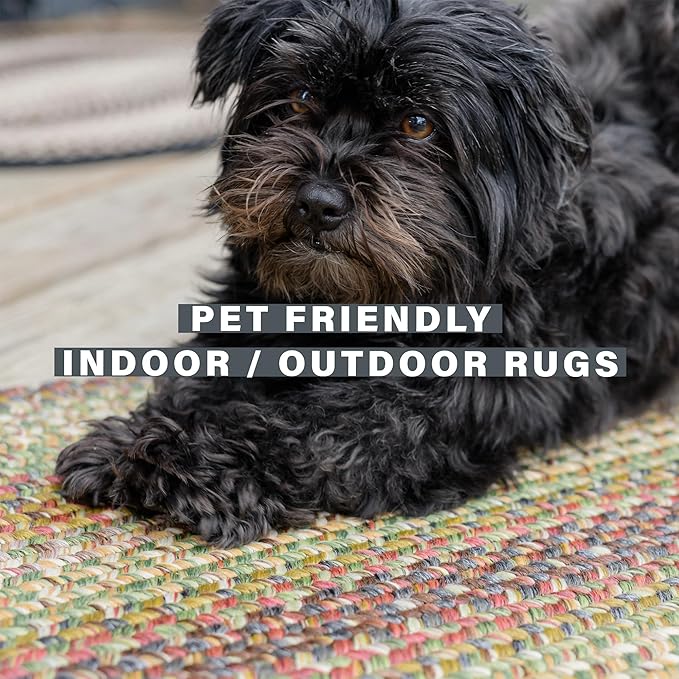 Rainforest Multicolor Small Braided Rug 20"x30" - Entryway and Kitchen Rugs Washable & Waterproof for Indoor and Outdoor Kitchen, Soft and Reversible