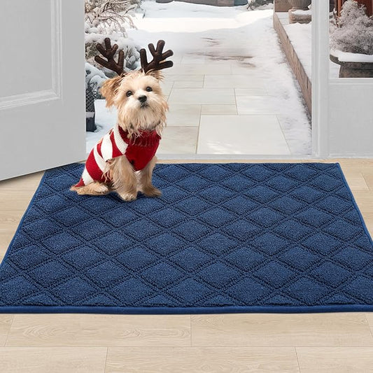 BEQHAUSE Dirt Trapper Door Mat 24" x 36", Non-Slip Washable Doormats Welcome Mat, Dirt Resistant and Absorbent Entrance Mat, Low Profile Floor Mats for Front Back Door, Entryway, Blue