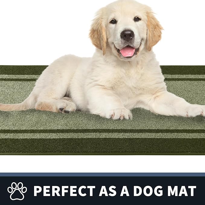 PURRUGS Dirt Trapping Door Mat 34" x 60", Non-Slip Machine Washable Entryway Rug, Entrance Mat, Indoor Front Door Mat, Super Absorbent Entry Rug for Muddy Shoes & Paws, Budding Green & Sage Green