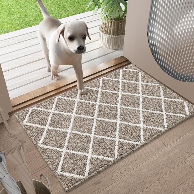Finchitty Indoor Door Mat, Dirt Resistant and Absorbent, Low-Profile, Non-Slip, Washable Inside Floor Mats for Front Door, Back, and Entrance, 30" x 17", Khaki
