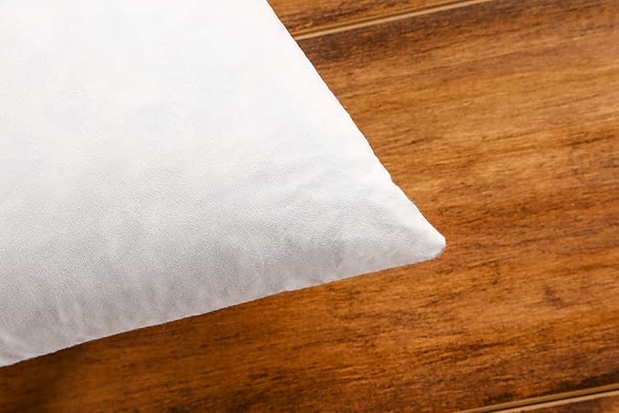 JA COMFORTS 20×20 Premium Goose Down Feather Throw Pillow Inserts(Set of 2)-5% Down Filling,High Filling Weight,250 TC Cotton Cover, Square, White