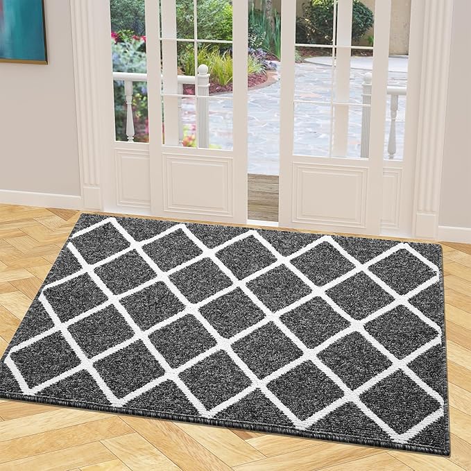 Finchitty Indoor Door Mat, Dirt Resistant and Absorbent, Low-Profile, Non-Slip, Washable Inside Floor Mats for Front Door, Back, and Entrance, 48" x 32", Black