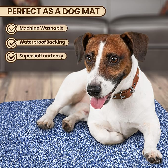 RugMast Premium Microfiber Indoor Door Mat – 24"x36" Washable Entry Mat, Non-Slip, Waterproof Backing, Super Absorbent, Low Profile Entryway Doormat for Indoor Entrance