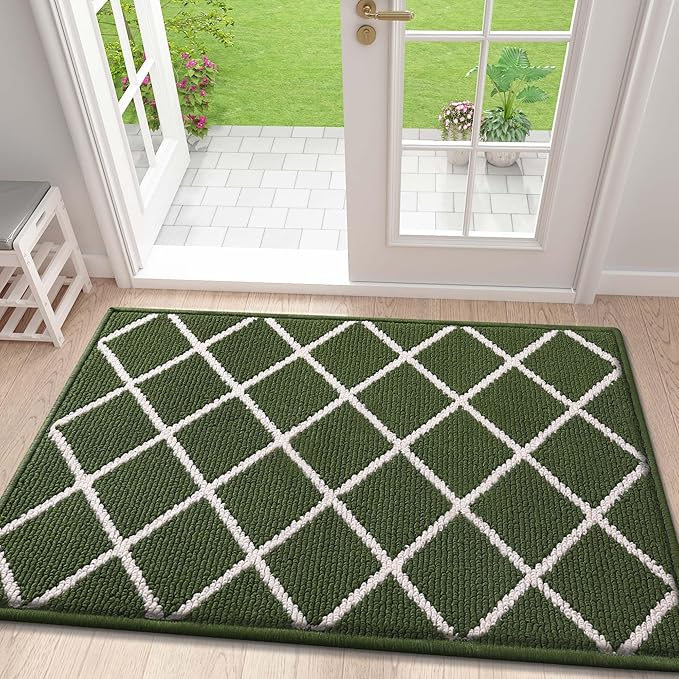 Finchitty Indoor Door Mat, Dirt Resistant and Absorbent, Low-Profile, Non-Slip, Washable Inside Floor Mats for Front Door, Back, and Entrance, 48" x 32", Green