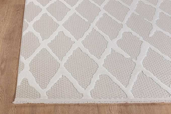 Modern Indoor Rug Diamond 4x6 Area Rugs for Living Room Luxury Kitchen Bedroom Durable Soft Geometric Durable Low and High Pile Stain Resistant Non Shedding Area Carpet 4x6