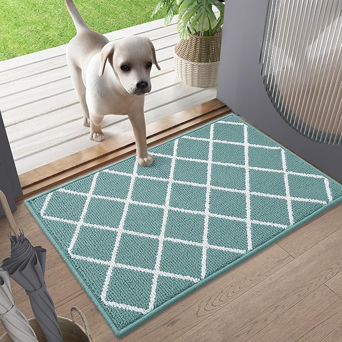 Finchitty Indoor Door Mat, Dirt Resistant and Absorbent, Low-Profile, Non-Slip, Washable Inside Floor Mats for Front Door, Back, and Entrance, 32" x 20", Sage Green