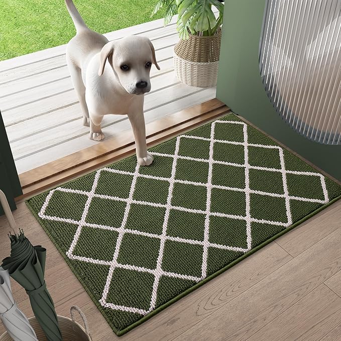 Finchitty Indoor Door Mat, Dirt Resistant and Absorbent, Low-Profile, Non-Slip, Washable Inside Floor Mats for Front Door, Back, and Entrance, 48" x 32", Green