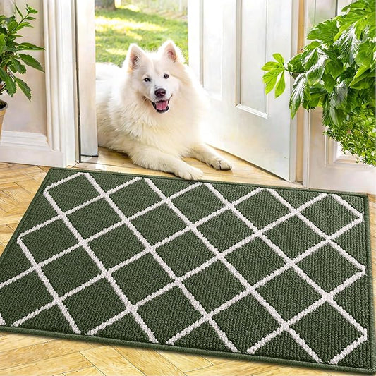 Finchitty Indoor Door Mat, Dirt Resistant and Absorbent, Low-Profile, Non-Slip, Washable Inside Floor Mats for Front Door, Back, and Entrance, 30" x 17", Green