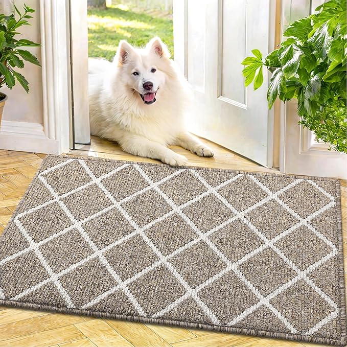 Finchitty Indoor Door Mat, Dirt Resistant and Absorbent, Low-Profile, Non-Slip, Washable Inside Floor Mats for Front Door, Back, and Entrance, 30" x 17", Khaki
