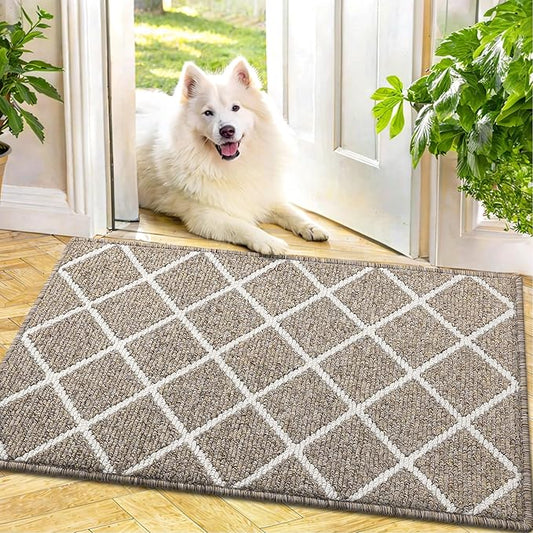 Finchitty Indoor Door Mat, Dirt Resistant and Absorbent, Low-Profile, Non-Slip, Washable Inside Floor Mats for Front Door, Back, and Entrance, 30" x 17", Khaki