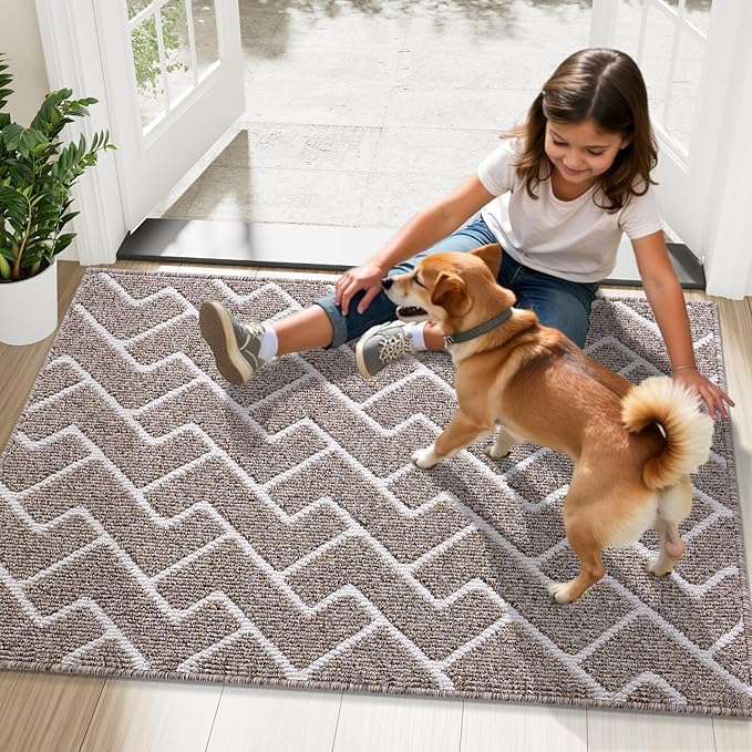 OLANLY Front Door Mat, Non-Slip Rubber Backing, Dirt Resistant and Absorbent, Washable, Easy to Clean Low-Profile Indoor Doormat for Back Door, Entryway, Inside Entrance, 32x20, Khaki