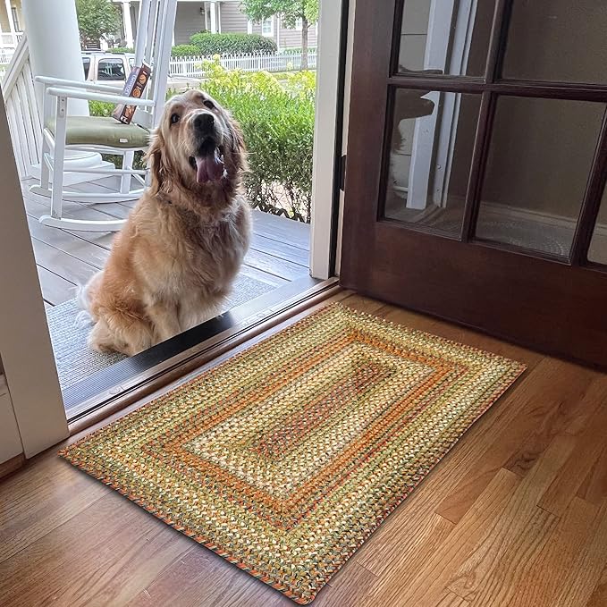 Rainforest Multicolor Small Braided Rug 20"x30" - Entryway and Kitchen Rugs Washable & Waterproof for Indoor and Outdoor Kitchen, Soft and Reversible