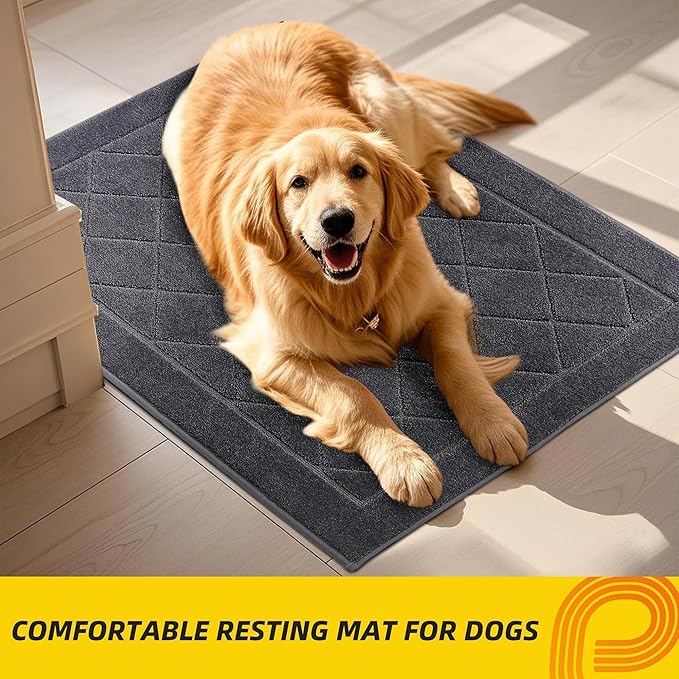 JSEI Dirt Trapper Door Mat 20"x32", Non-Slip Washable Entryway Mats, Dog Door Mat, Stain Resistant and Absorbent Floor Mats, Low Profile Welcome Mat for Front Back Door, Dark Grey