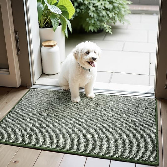 GRANNY SAYS Front Door Mat Outside Entrance, Door Mats for Entryway, Welcome Matt Non-Slip, Entryway Front Porch Mat Low Profile Resist Dirt Easy to Clean, 36"x24", Green Beige
