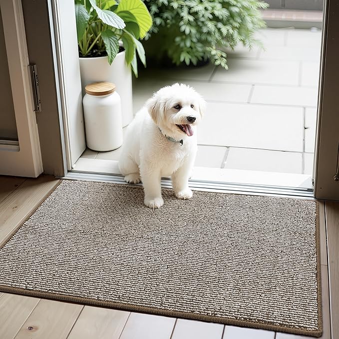 GRANNY SAYS Front Door Mat Outside Entrance, Door Mats for Entryway, Welcome Matt Non-Slip, Entryway Front Porch Mat Low Profile Resist Dirt Easy to Clean, 36"x24", Khaki Beige